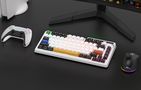 Wireless mechanical keyboard Royal Kludge KZZI K75 pro RGB, Moment Switch (black and white), Royal Kludge KZZI K75 pro moment