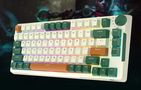 Wireless mechanical keyboard Royal Kludge RKH81 RGB, Sky cyan switch (green), Royal Kludge RKH 81 skycyan green