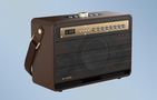 Wireless Bluetooth Speaker W-KING K6L 120W + 2 microphones (brown), W-KING K6L brown