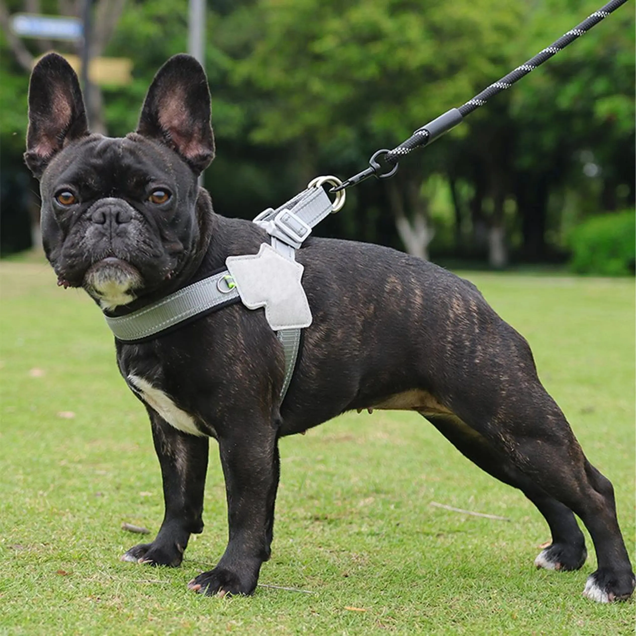 EXTRALINK PETS MOCNE SZELKI BEZUCISKOWE SMYCZ DLA MAŁEGO PSA KOTA WYTRZYMAŁE ROZ. L PET-834, EXTRALINK EX.38268 5906168638268