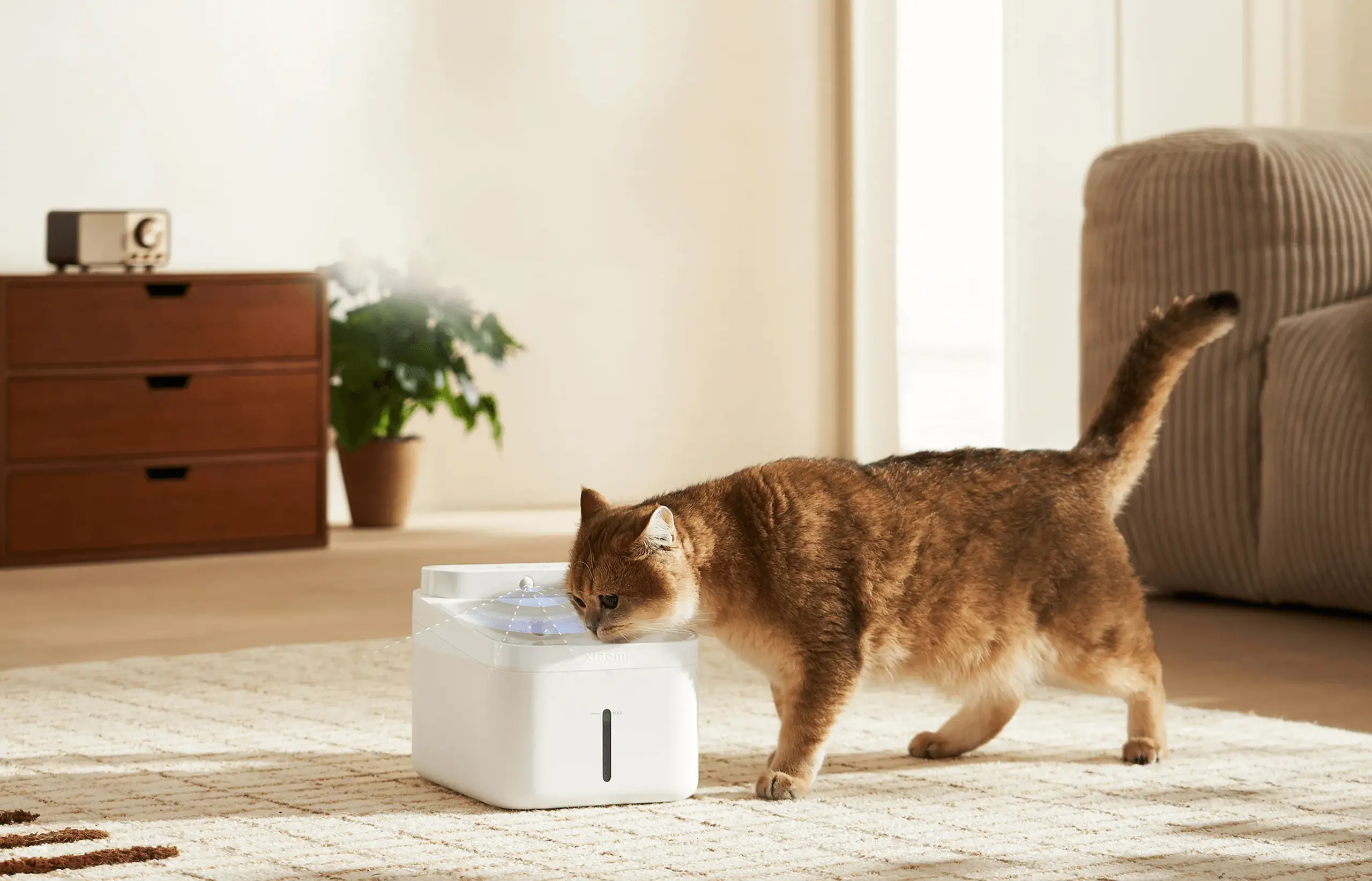 Xiaomi Smart Pet Fountain 2 | Smart pet fountain | 3L, Wi-Fi, XIAOMI SMART PET FOUNTAIN 2