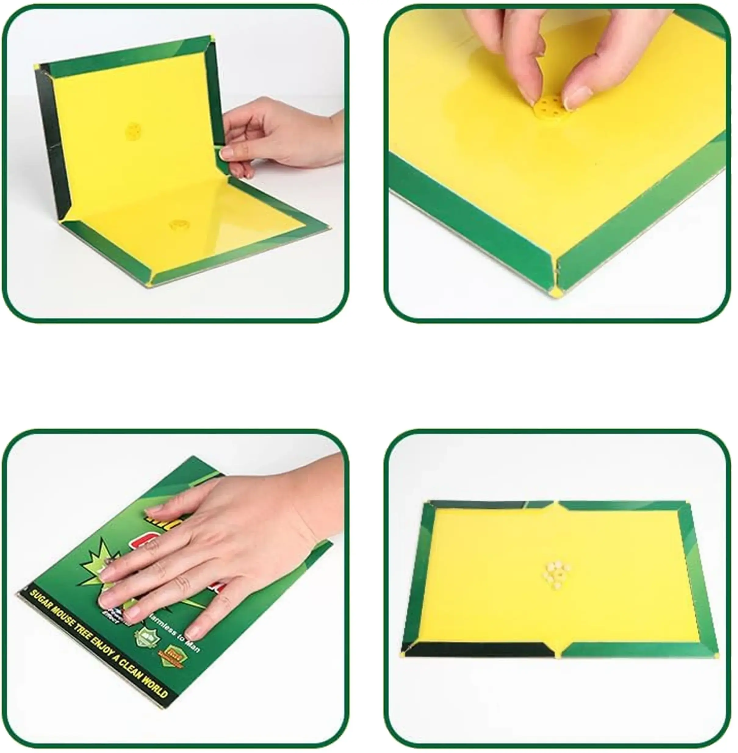 Extralink Mouse and Rat Glue Trap, Strong Adhesive Powerful Sticky Pad with Scent, 50 Pieces, EXTRALINK EX.21281 5907207221281