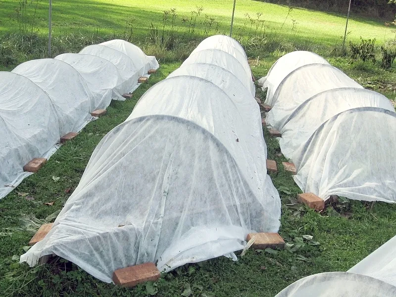 Black Forest Agro Fabric, Winter Protective Covering 50x1.6m 50g White Shade, EXTRALINK EX.24749 5907207224749