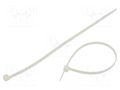 Cable tie; L: 250mm; W: 4.8mm; natural; polyamide; 220N; 100pcs. RADPOL TOOCW025004801