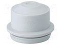 Grommet; elastomer thermoplastic TPE; light grey; 8÷23mm; IP65 HENSEL HENSEL-EDK-32