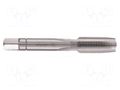 Tap; high speed steel; G 1/8"; Kind of holder: hand ALPEN-MAYKESTAG ALP.70601600100