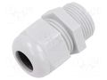 Cable gland; without nut; PG36; IP68; polyamide; light grey TE Connectivity 1SNG601226R0000