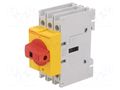 Switch-disconnector; Poles: 3; for DIN rail mounting,screw type LOVATO ELECTRIC GA016ARY