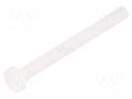 Screw; M3x30; 0.5; Head: cheese head; slotted; 0.9mm; polyamide DREMEC DR8G201M3X30