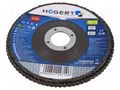 Flap grinding wheels; Ø: 125mm; Granularity: 120; 22.4mm HÖGERT TECHNIK HT8D055