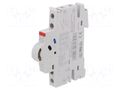 Auxiliary contacts; Contacts: NO x2 ABB S2C-H6-20R