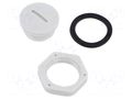 Stopper; PG11; polyamide; light grey; Thread: PG KRADEX ZCG-PG11J-PLUGPA66