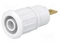Connector: 4mm banana; socket; 24A; 1kV; white; gold-plated; 12.2mm STÄUBLI SEB4-F-29