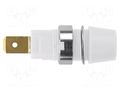 Connector: 4mm banana; socket; 32A; 1kV; white; gold-plated; screw SCHÜTZINGER SAB7560AU-WS