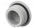 Stopper; M20; 1.5; IP68; polyamide; light grey; Entrelec; 10mm TE Connectivity 1SNG620016R0000