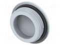 Stopper; PG13,5; IP68; polyamide; grey; Entrelec; Thread: PG; 6mm TE Connectivity 1SNG620062R0000