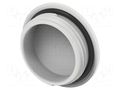 Stopper; PG16; IP68; polyamide; light grey; Entrelec; Thread: PG TE Connectivity 1SNG620067R0000