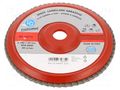 Flap grinding wheels; Ø: 180mm; Øhole: 22mm; Granularity: 120 PG PROFESSIONAL PG-358.35