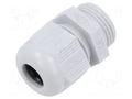 Cable gland; PG11; polyamide; grey ILME ILME-ASC11I