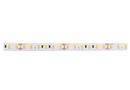 LED strip 24V 14.4W/m  IP20 warm white 2700K 120LED/m 115lm/W PLUS AKTO AFL-120U14424M-WWW