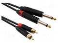 Cable; Jack 6,3mm plug x2,RCA plug x2; 5m; black; PVC REDS MUSIC AU1450BX