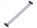 Ribbon cable with IDC connectors; IDC,both sides; 101.6mm; 4" SAMTEC FFSD06D040001N