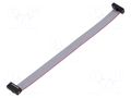 Ribbon cable with IDC connectors; IDC,both sides; 127mm; 5" SAMTEC FFSD06D050001NR