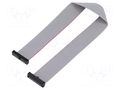 Ribbon cable with IDC connectors; IDC,both sides; 254mm; 10" SAMTEC FFSD13D100001N