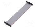 Ribbon cable with IDC connectors; IDC,both sides; 101.6mm; 4" SAMTEC FFSD17D040001N