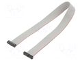 Ribbon cable with IDC connectors; IDC,both sides; 304.8mm; 12" SAMTEC FFSD11D120001N