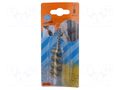 Brush; 20mm; Ø: 6mm; brass; Mounting: rod 6mm PG PROFESSIONAL PG-478.90