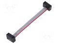 Ribbon cable with IDC connectors; IDC,both sides; 50.8mm; 2" SAMTEC FFSD03D020001