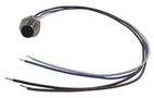 PLUG, M12, 4WAY 8R4E36E03C3003