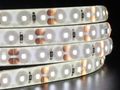 LED strip 12V 9,6W/m 680lm/m 4000K IP65 neutral white SMD2216 120LED/m LED line 249150 5901583249150