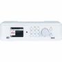 DABMAN i460 Multifunctional Radio White-Silver 22-249-20 4024035249209
