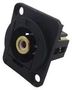 ADAPTOR W/ CSK HOLE, PHONO RCPT, WHITE CP30231