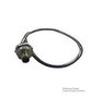 SENSOR CORD, 5P, M12 PLUG-FREE END, 0.3M 120084-0017