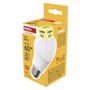 LED Bulb Basic A60 / E27 / 9.4 W (60 W) / 806 lm / Warm white, EMOS ZL5F42