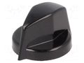 Knob; with pointer; thermoplastic; Øshaft: 6mm; Ø18.8x12.5mm OKW A1311860