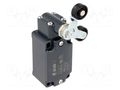 Limit switch; lever R 40mm, plastic roller Ø20mm, double; 10A PIZZATO ELETTRICA FD542