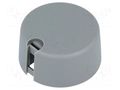 Knob; with pointer; plastic; Øshaft: 6.35mm; Ø31x16mm; grey; A10 OKW A1031638