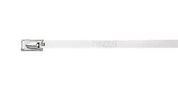 PANSTEELTIE,316SS,STD,33L,TS890,PK100 MLT10S-CP316