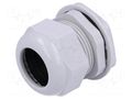Cable gland; PG36; IP68; polyamide; grey; UL94V-2; 24.4mm KSS WIRING EG-36GY1