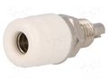 Connector: 4mm banana; socket; 32A; 60VDC; white; nickel plated SCHÜTZINGER IBU401-WS