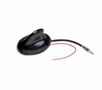 Active car antenna AM/FM SHARK 40615