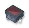 NEON INDICATOR, RED C0480FQNAA