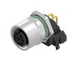 SENSOR CONN, M12, R/A RCPT, 8POS, PANEL 43-02739