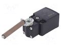 Limit switch; porcelain roller Ø9x57mm R 80mm; NO + NC; 6A; PG11 PIZZATO ELETTRICA FC353-E11
