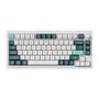 Keychron Q1 HE Wireless Keyboard RGB Nebula Magnetic Switch (White) [Q1H-P1]., Keychron Q1H-P1