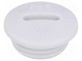 Stopper; PG9; IP54; polyamide; grey; V-N-FS; Thread: PG; 6mm HUMMEL HUMMEL-1251090011